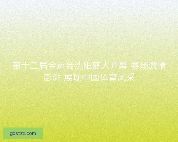 第十二届全运会沈阳盛大开幕 赛场激情澎湃 展现中国体育风采